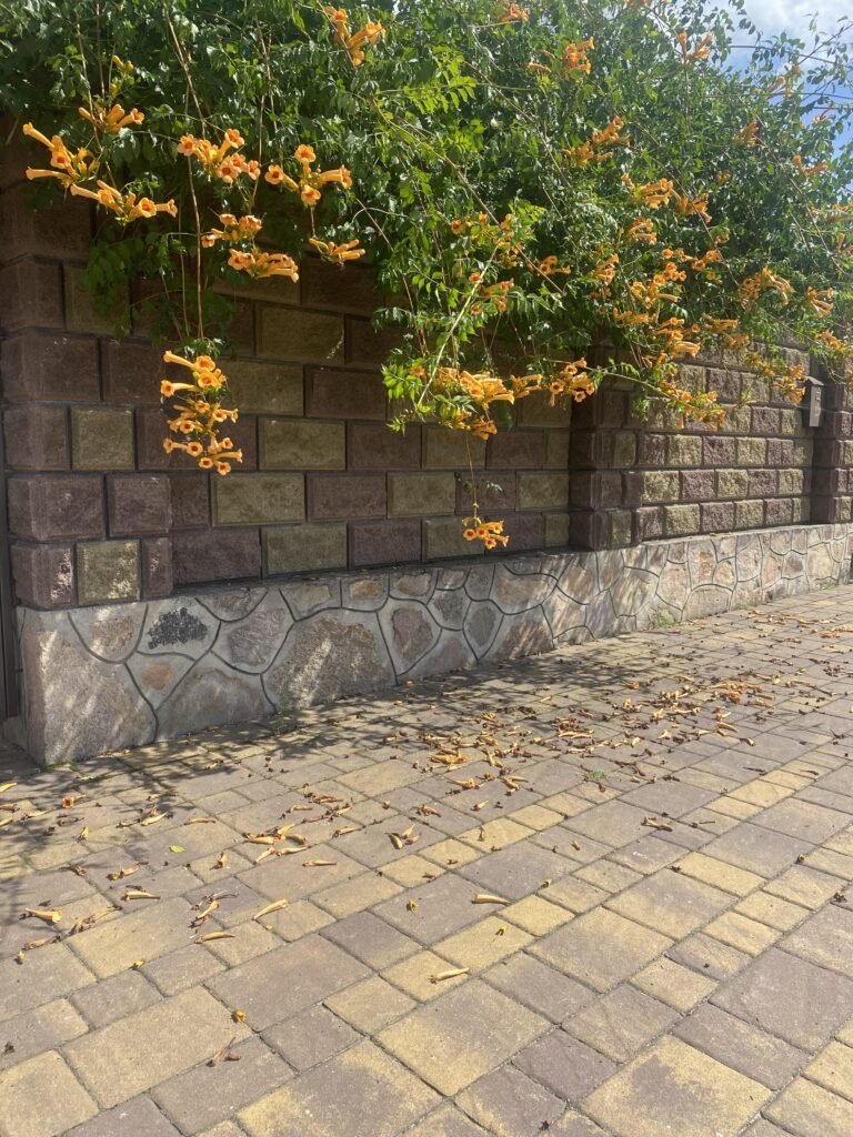 Приватний будинок. Рівненська область.