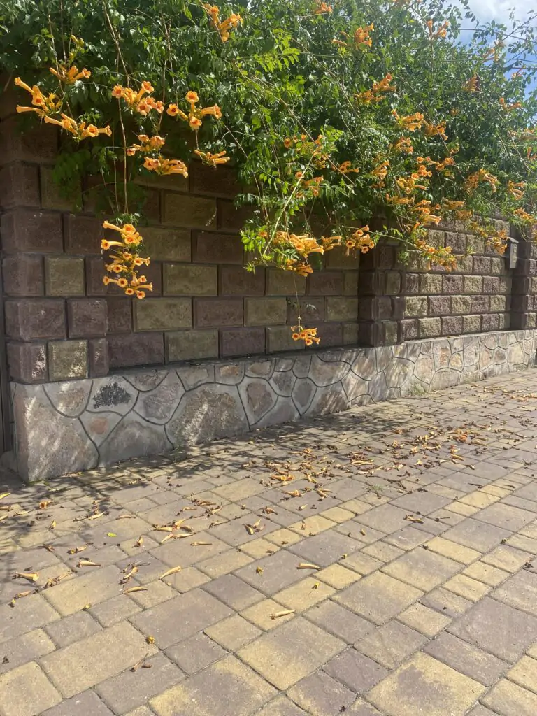 Приватний будинок. Рівненська область.